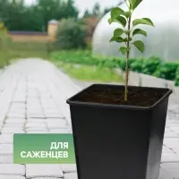 Горшок для рассады, 11 л, 25&times;25&times;26 см, чёрный