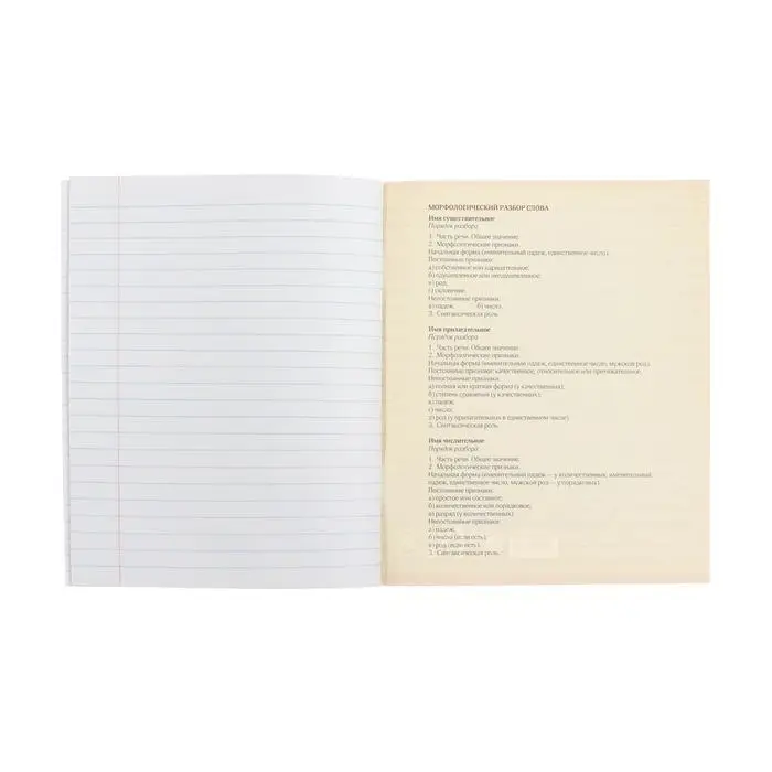 Тетрадь предметная 48 листов в клетку Calligrata, «Футбол. Русский язык», обложка мелованный картон, серые листы Тетрадь предметная 48 листов в клетку Calligrata, «Футбол. Русский язык», обложка мелованный картон, серые листы