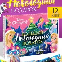 Подарочный набор &laquo;Новогодний бал принцесс&raquo;, 12 книг