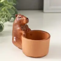 Подставка для мелочей &laquo;Капибара&raquo; 8&times;9&times;6 см, гипс