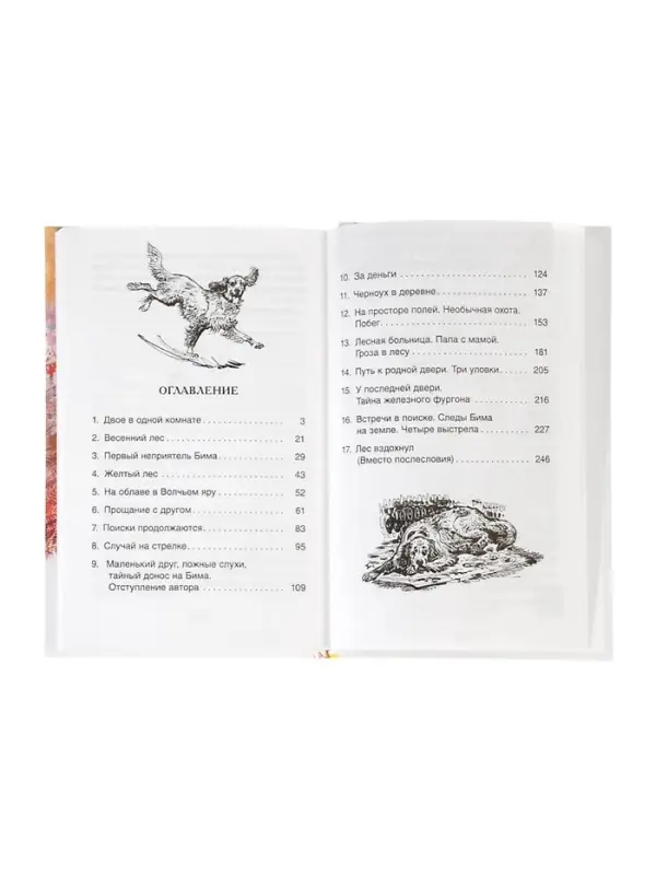 Книга детская для внеклассного чтения &laquo;Белый Бим Чёрное ухо&raquo;, Троепольский Г.Н.