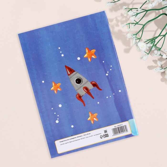 Свидетельства о рождении Свидетельства о рождении "Ракета" ламинированная