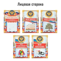 Папка школьная на кольцах «Портфолио школьника», 10 листов-разделителей, 24,5 х 32 см.