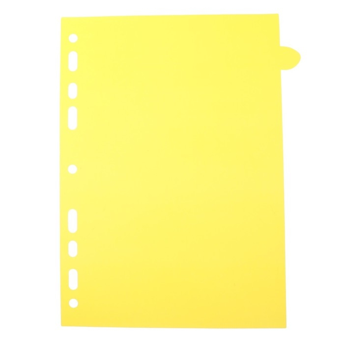 Разделитель листов A5 (210 x 165 мм) цветовой, 12 листов, Разделитель листов A5 (210 x 165 мм) цветовой, 12 листов, "deVENTE. Pastel" полипропилен 140 мкм, индивидуальная упаковка