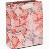 Пакет подарочный &laquo;Деньги&raquo;, 12&times;15&times;5.5 см