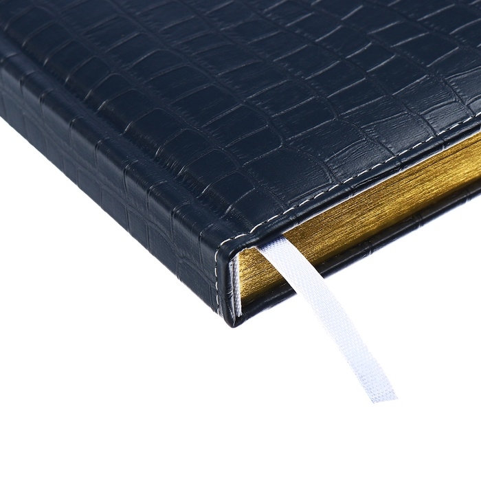 Ежедневник датированный 2025 года, deVENTE. Flag, B5 168 листов, deVENTE.Barbara, твердая обложка кожзам с поролоном, перфорация, ляссе, блок 70 г/м2, темно-синий Ежедневник датированный 2025 года, deVENTE. Flag, B5 168 листов, deVENTE.Barbara, твердая обложка кожзам с поролоном, перфорация, ляссе, блок 70 г/м2, темно-синий