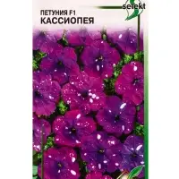 Набор Петуния F1 Кассиопея, 15 семян (362342497) ОЗ