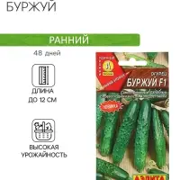 Семена огурца "Буржуй", F1, раннеспелый, 10 шт.