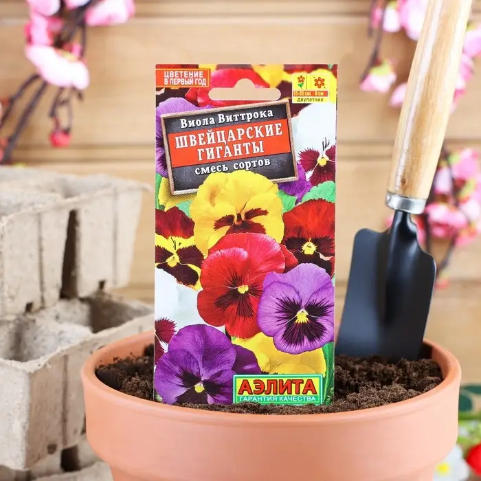 Семена цветов Виола Семена цветов Виола "Швейцарские гиганты", Виттрока, смесь сортов, Дв, 0,1 г