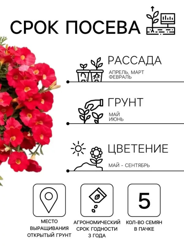 Семена цветов Петуния &laquo;Нуволари&raquo;, полуампельная, фуксия, F1, 5 шт., Farao, &laquo;АЭЛИТА&raquo;