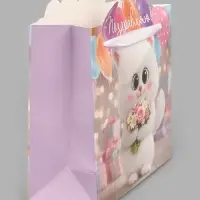 Пакет подарочный &laquo;Поздравляю&raquo;, кот, 25&times;26&times;10 см