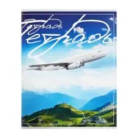 Тетрадь 48 листов в клетку Calligrata «Самолеты», обложка мелованный картон, блок №2, белизна 75% (серые листы), МИКС