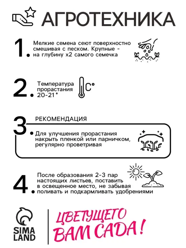Семена цветов Пеларгония &laquo;Дансер Ред&raquo;, зональная, 3 шт., &laquo;Семена Алтая&raquo;