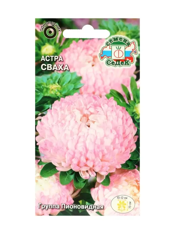 Набор семян Астра Набор семян Астра "Сваха , 5 шт.