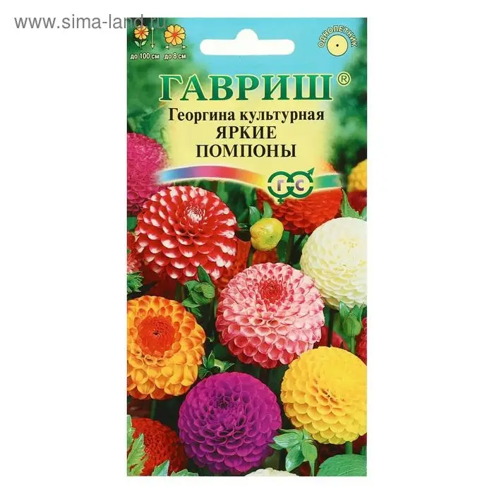 Семена цветов Георгина  Семена цветов Георгина "Яркие помпоны", ц/п,   0,2 г