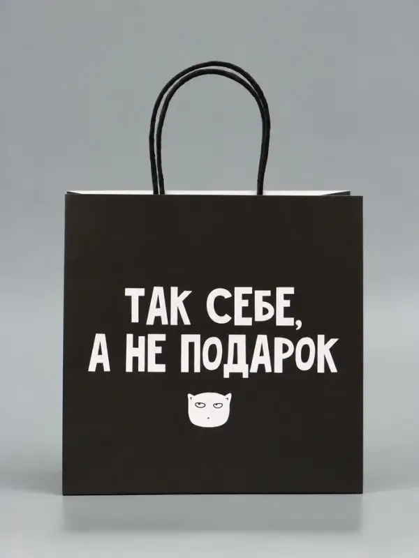 Пакет подарочный, упаковка, &laquo;Так себе, а не подарок&raquo;, 22&times;22&times;11 см