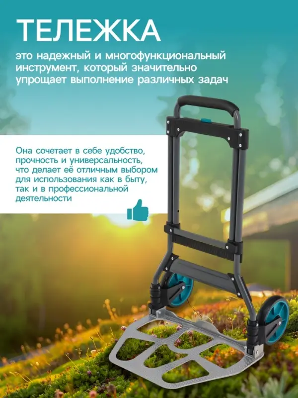 Тележка ручная хозяйственная, двухколёсная, нагрузка до 100 кг, складная, грузовая, Greengo