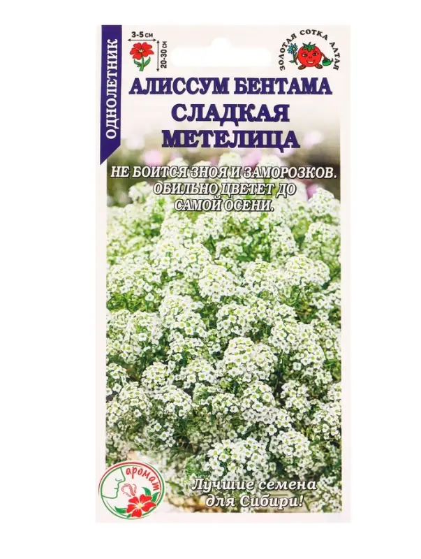 Семена Алиссум Сладкая метелица/Сотка/ 0,1г /*1500 Семена Алиссум Сладкая метелица/Сотка/ 0,1г /*1500