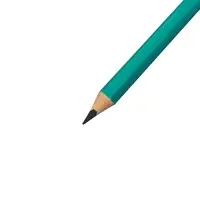 Карандаши Calligrata, цветные, 24 цвета, эконом, шестигранные, пластиковые, пенал-футляр и 3 чернографитных карандаша с ластиком в ПОДАРОК, МИКС