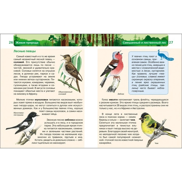 Детская энциклопедия «Живая природа» Детская энциклопедия «Живая природа»