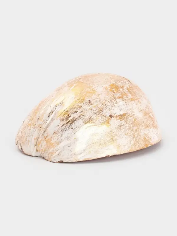 Чаша из кокоса, 18&times;18&times;10 см, бежево-золотая