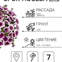 Семена цветов Петуния &laquo;Хулахуп&raquo; бургунди, F1, 7 шт., Sakata, &laquo;АЭЛИТА&raquo;