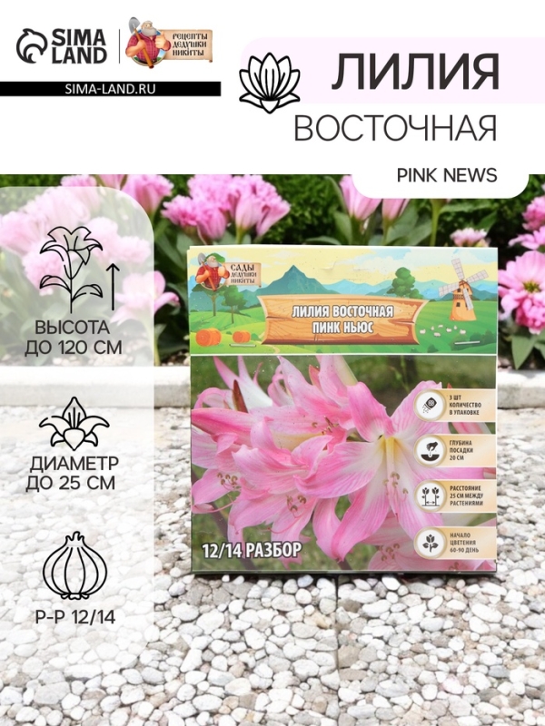 Лилия Восточная Pink News, луковица в пакете с перфорацией, р-р 12/14, 3 шт.