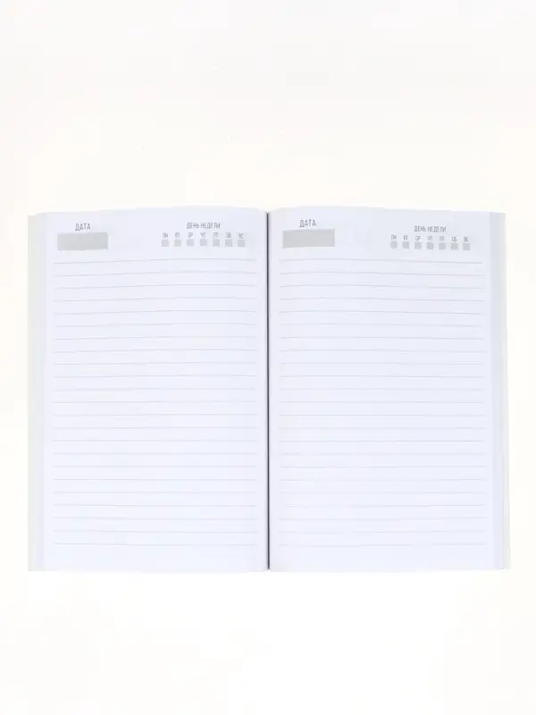 Ежедневник в тонкой обложке А5, 80 л «Новый год: ечты сбываются» Ежедневник в тонкой обложке А5, 80 л «Новый год: ечты сбываются»