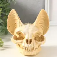 Копилка для денег &laquo;Череп сфинкса&raquo;, 14&times;14&times;13 см, натуральный