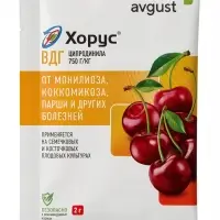 Средство от болезней &laquo;Хорус&raquo;, 2 г, &laquo;Август&raquo;