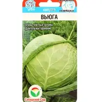 Семена Капусты белокочанной &laquo;Вьюга&raquo;, 0.3 г, &laquo;Сибирский сад&raquo;