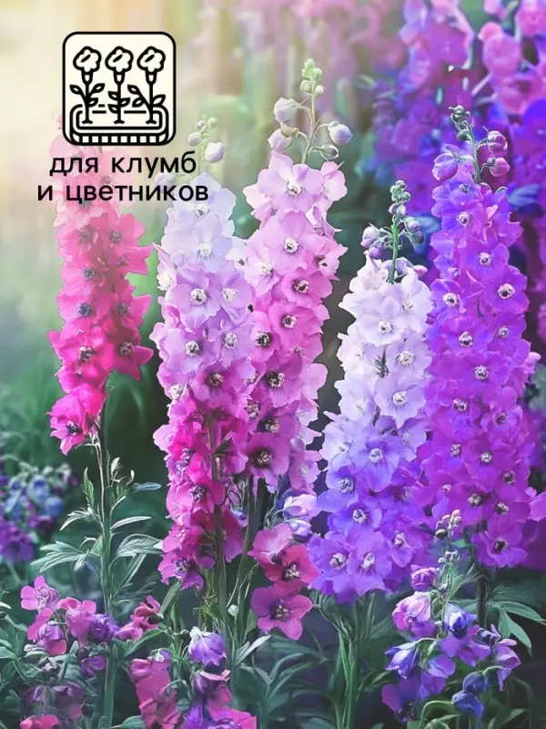 Семена цветов Дельфиниум  "Экскалибур роуз виз би", F1, 10 шт.