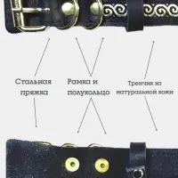 Ошейник, 45&times;2 см, с бантиком, тесьмой и стразами, кожа, чёрный