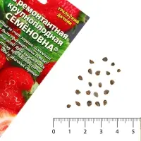 Семена Земляника &laquo;Семёновна&raquo;, 10 шт., ремонтантная, крупноплодная, &laquo;Уральский дачник&raquo;