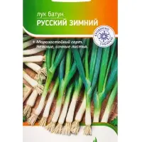 Семена Лук батун "Русский зимний" 1 г Семена Лук батун "Русский зимний" 1 г