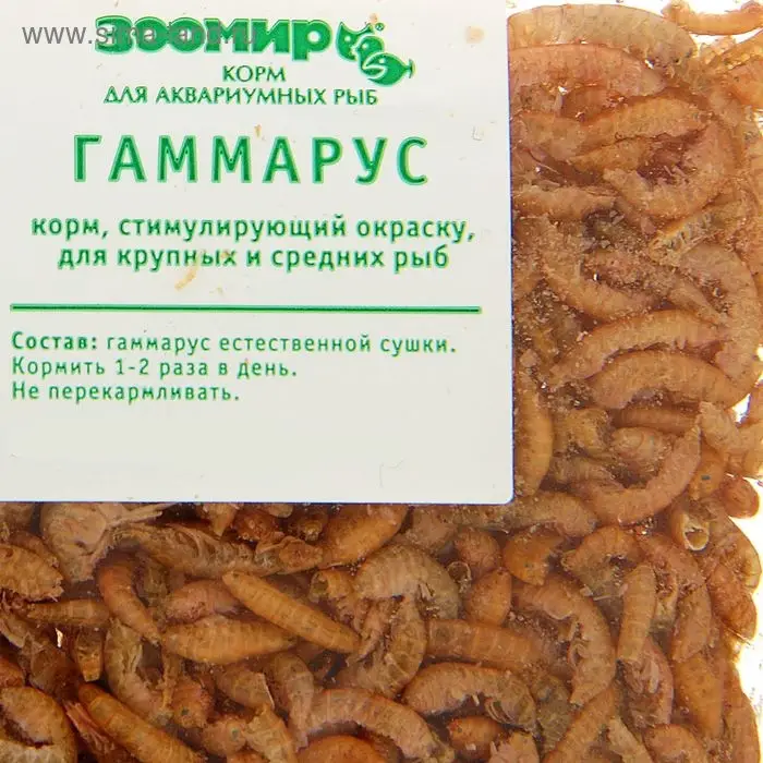 Корм для рыб и черепах  Корм для рыб и черепах "ЗООМИР" Гаммарус, тушка, 10 г