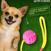 Игрушка &laquo;Шар усиленный на веревке&raquo;, 43 см, шар 6 см, розовый