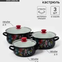 Набор кастрюль эмалированных &laquo;Лесная ягода-1-Экстра&raquo;, 3 предмета: 2 л, 3 л, 4 л, чёрный