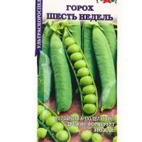 Семена Горох &laquo;Шесть недель&raquo;, 10 г, &laquo;Золотая Сотка Алтая&raquo;