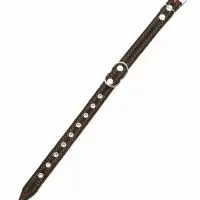 Ошейник кожаный усиленный капроном с полукольцом, 55&times;2.5 см, ОШ 27-53 см, чёрный