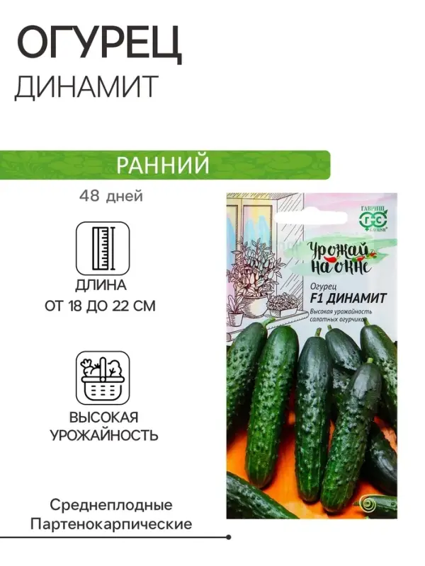 Семена огурца Семена огурца "Динамит", F1, 10 шт.