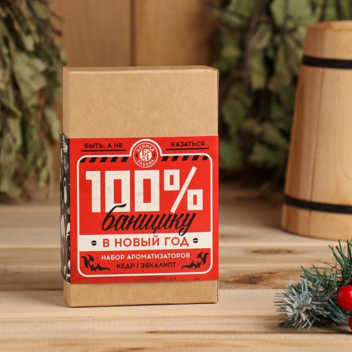 Набор ароматизаторов 2 шт по 100 мл Набор ароматизаторов 2 шт по 100 мл "100% банщику", эвкалипт, кедр