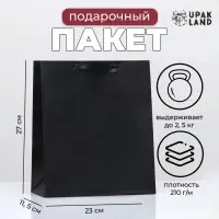 Пакет подарочный ламинированный &laquo;Чёрный&raquo;, 23&times;27&times;11.5 см