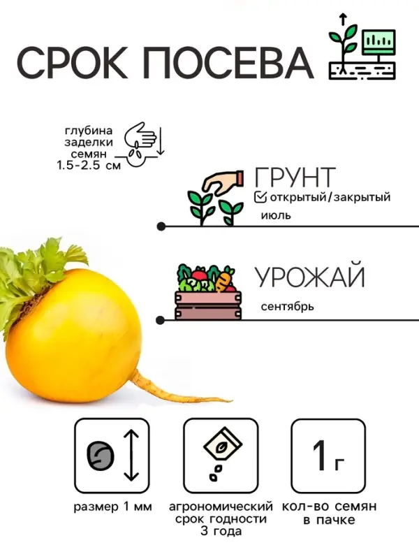 Семена Репа  Семена Репа "Петровская 1", 1 г