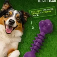 Жевательная игрушка для собак &laquo;Спортсмен&raquo;, 15.5 см, TPR, фиолетовая