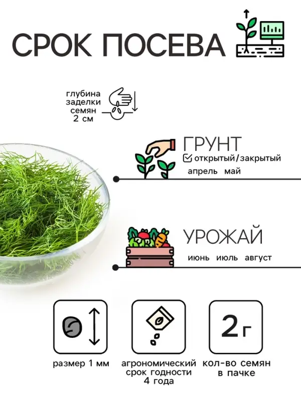 Семена Укроп "Крокодил", 2 г