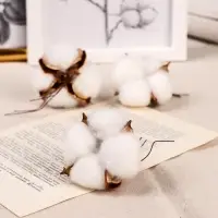 Декор сухоцвет «Хлопок», d=5 см, белый