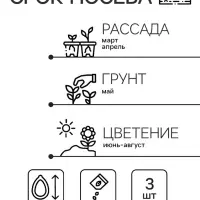 Семена цветов Изотома Джемини Блю, ц/п, 3 шт.