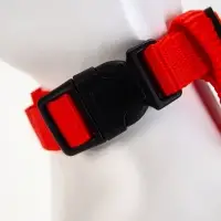 Комплект для кошек, ширина 1.5 см, ОШ 16.5-27 см, ОГ 21-35 см, поводок 120 см, красный