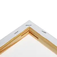 Холст на подрамнике, хлопок 100%, 1.6&times;30&times;50 см, акриловый грунт, мелкозернистый, 280 г/м&sup2;
